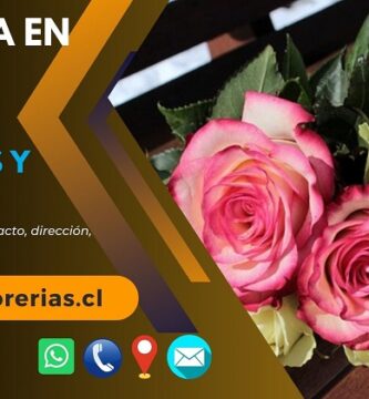 Florería en Ancud