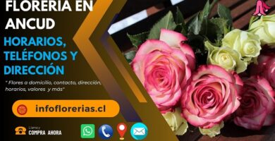 Florería en Ancud