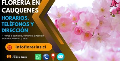 Florería en Cauquenes