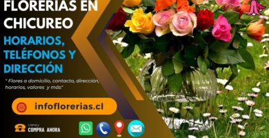 Florería en Chicureo