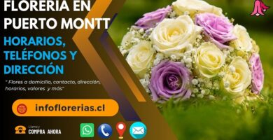 Florería en Puerto Montt