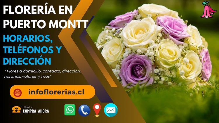 Florería en Puerto Montt