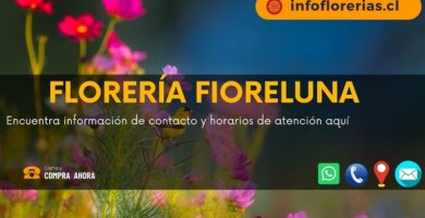 Florería Fioreluna
