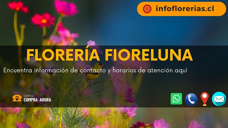 Florería Fioreluna