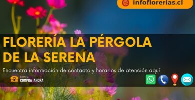 Florería la Pérgola de La Serena