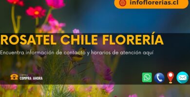 Florería rosatel