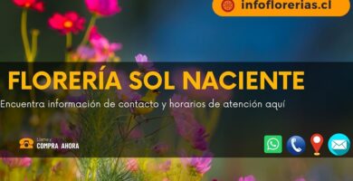 Florería sol naciente
