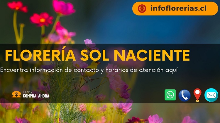 Florería sol naciente