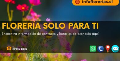 Florería solo para ti