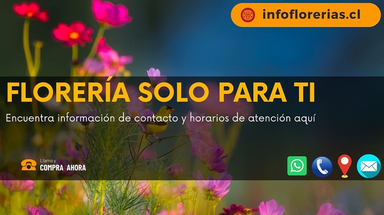 Florería solo para ti