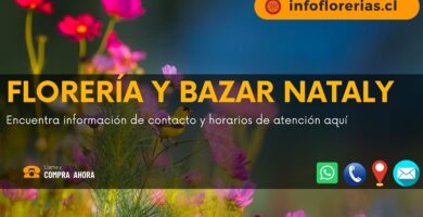 Florería y Bazar Nataly