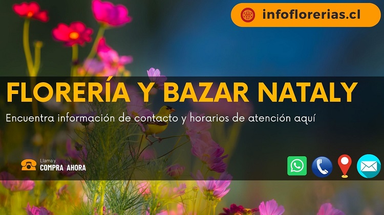 Florería y Bazar Nataly