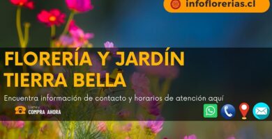 Florería y Jardín Tierra Bella