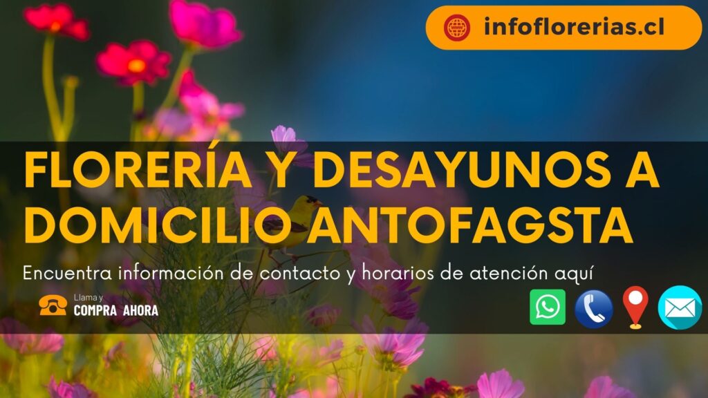 Florería y desayunos a domicilio Antofagasta
