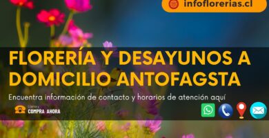 Florería y desayunos a domicilio Antofagasta