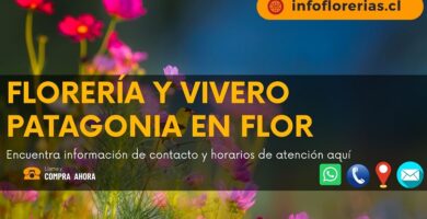 Florería y vivero Patagonia en Flor