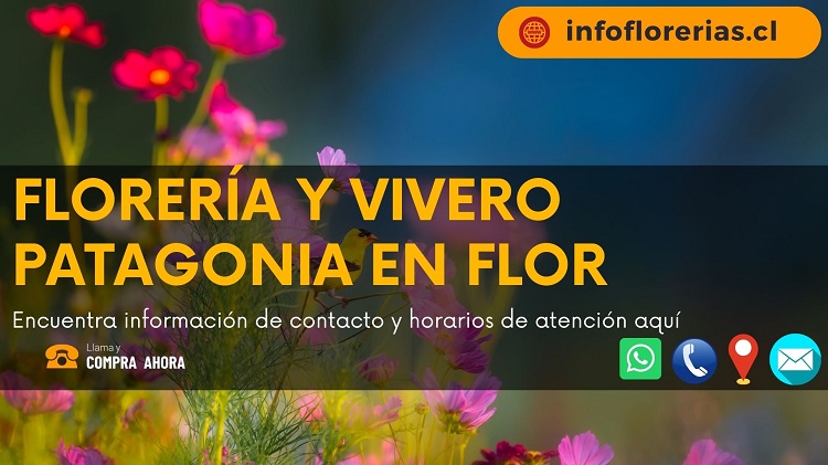 Florería y vivero Patagonia en Flor