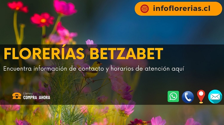 Florerías Betzabet