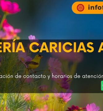 Florerías Caricias al Alma