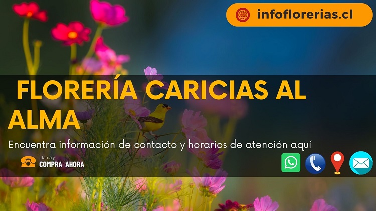 Florerías Caricias al Alma
