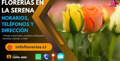 Florerías en La Serena