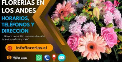 Florerías en Los Andes