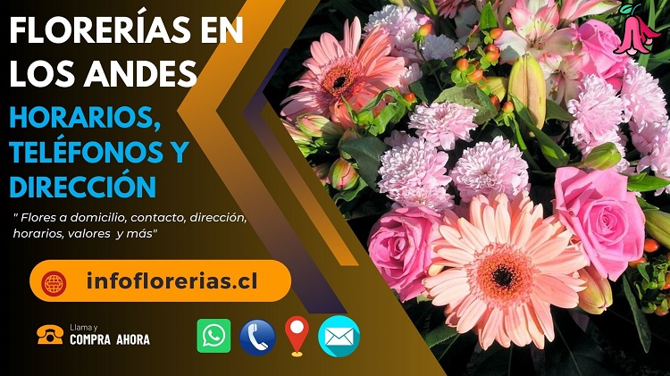 Florerías en Los Andes