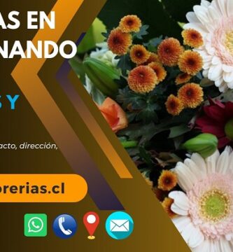Florerías en San Fernando