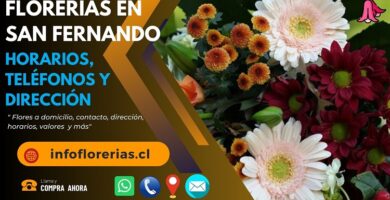 Florerías en San Fernando