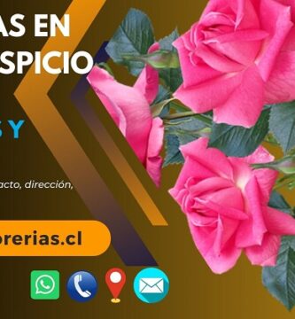 Florerías en Alto Hospicio