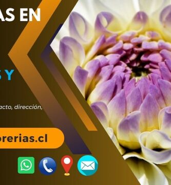 Florerías en Angol