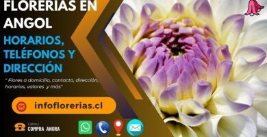 Florerías en Angol