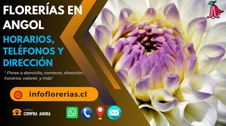 Florerías en Angol