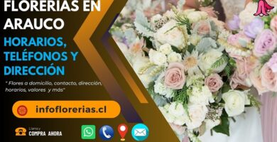 Florerías en Arauco