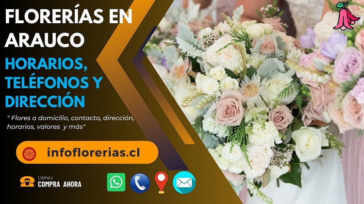 Florerías en Arauco