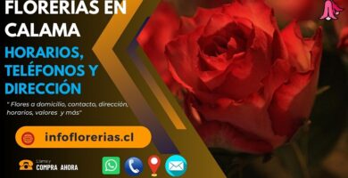 Florerías en Calama