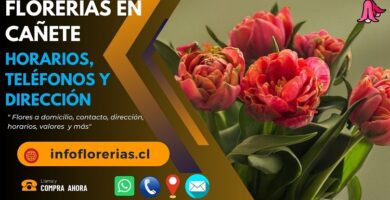 Florerías en Cañete