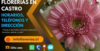 Florerías en Castro