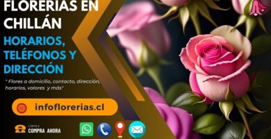 Florerías en Chillán