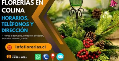 Florerías en Colina