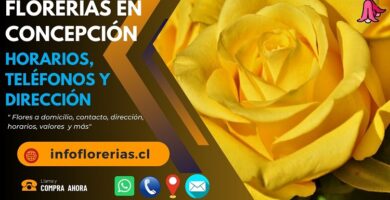 Florerías en Concepción