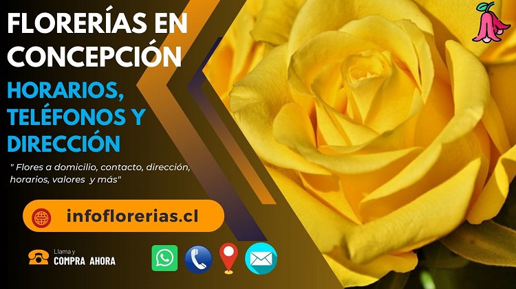 Florerías en Concepción