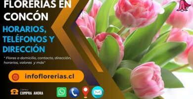 Florerías en Concón
