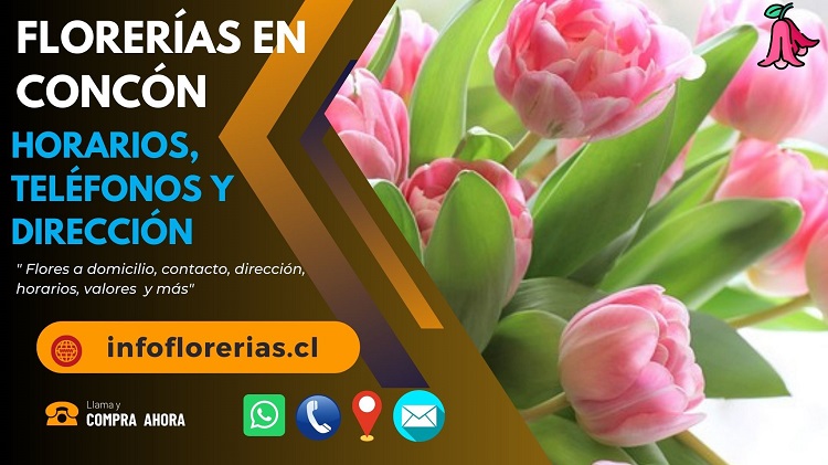 Florerías en Concón