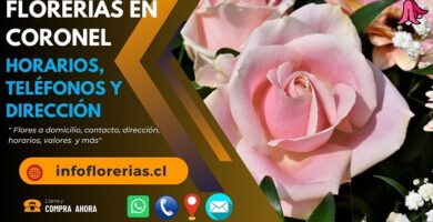 Florerías en Coronel