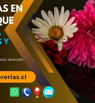 Florerías en Coyhaique