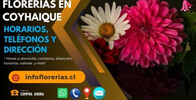 Florerías en Coyhaique