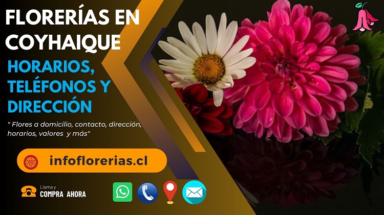 Florerías en Coyhaique