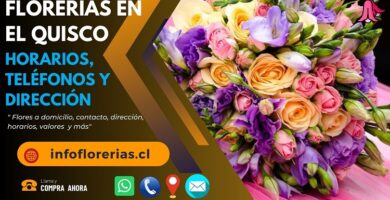 Florerías en El Quisco