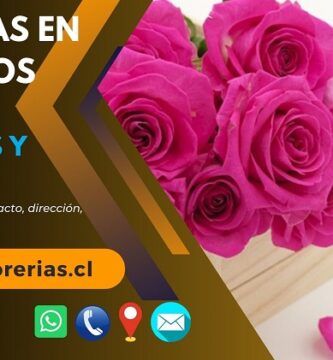 Florerías en Graneros